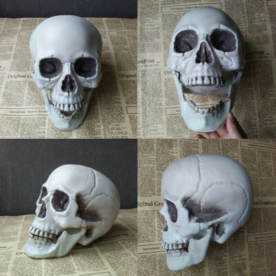 Halloween Kunstschädel Kopf Modell Schädel Knochen Gruseliges Horror Skelett