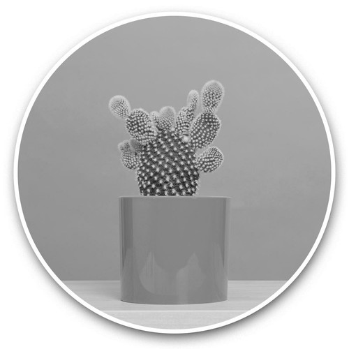 2 x Vinyl Stickers 20cm (bw) - Cactus Plant Plant Pot Design #42644 - 第 1/8 張圖片