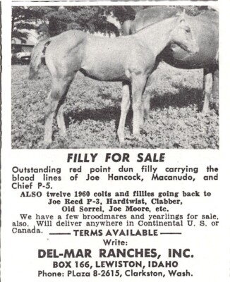 Margaret Ohlson Del-Mar Ranches Filly For Sale Lewiston Idaho Vtg Mag Print Ad