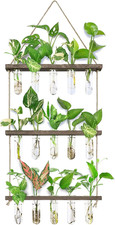 Wall Hanging Propagation Station 5 Glass Test Tubes 3 Tier Wooden Stand