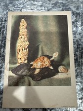 1961 tropical island Dinner Menu SS ROTTERDAM Holland America Line Ship cruise t