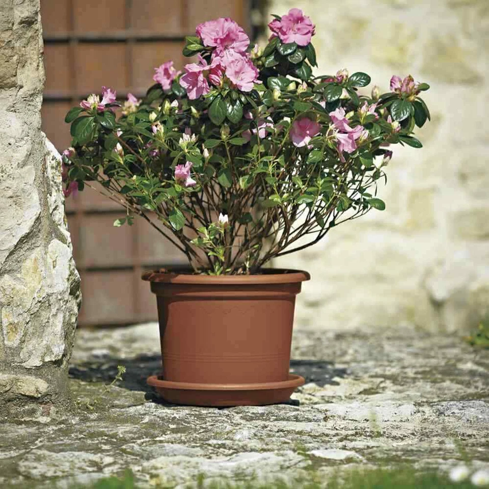 Kübel GEO Ø50cm terracotta Blumenkübel Blumentopf Pflanztöpfe Blumen Garten NEU - Bild 3 von 3
