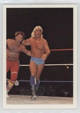 1988 Wonderama NWA Ric Flair vs Robert Gibson #227