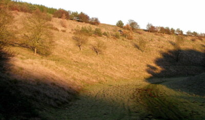 Photo 6x4 Harper Dale at Sunset Huggate  c2006