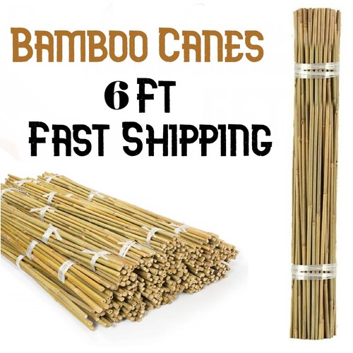 2/3/4/5/6 Ft Professional Bamboo Plant Support Garden Canes Bamboo Sticks uk eBay