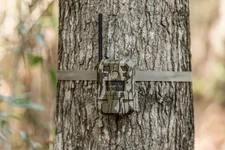 Moultrie Mobile MMA-14080 Edge Pro Cellular Trail Camera 36MP