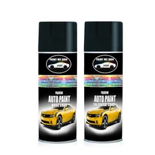 Base Coat & 2K Clear Coat for 1964 Chevrolet Azure Aqua (12525