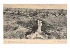 Vintage Postcard c1910 - An Artesian Bore. Sheep Farming in Australia. Series 7.