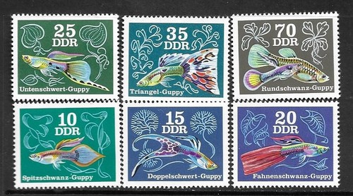 1976 EAST GERMANY - SG: e1891 / 1896 - TROPICAL FISH - GUPPIES - MNH