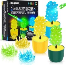 Crystal Growing Kit - DIY Science Kits - NEW