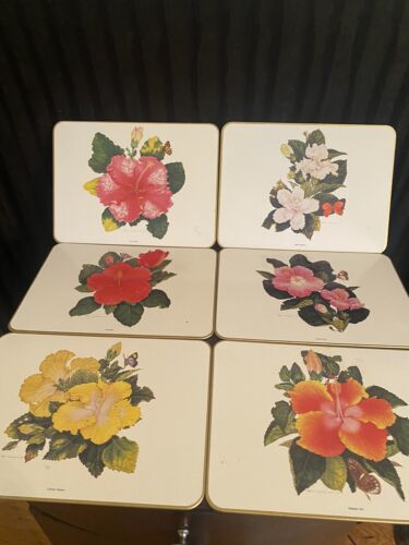 Vintage 1977 Jason Placemats Peter Longhurst Hibiscus Hawaii Flower Set 6 Cork