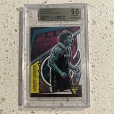 Anthony Edwards - Flux appeal 9.5