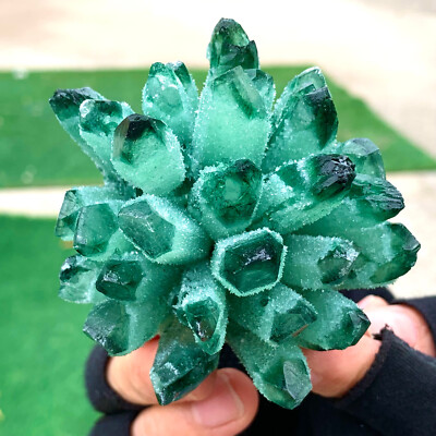 218G New Find green PhantomQuartz Crystal Cluster MineralSpecimen