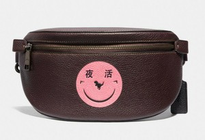 yeti fanny pack