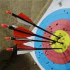 Bild 24 von 24