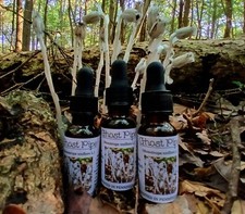 Ghost Pipe Tincture 3oz Free Shipping Harvested And Made In Pennsylvania
