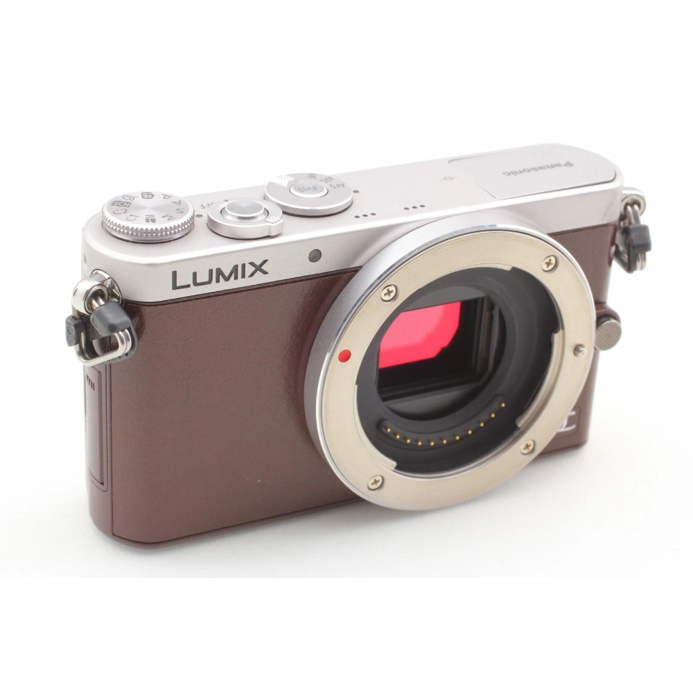 Panasonic LUMIX DMC-GM1S Digital Camera with Accessories Touch