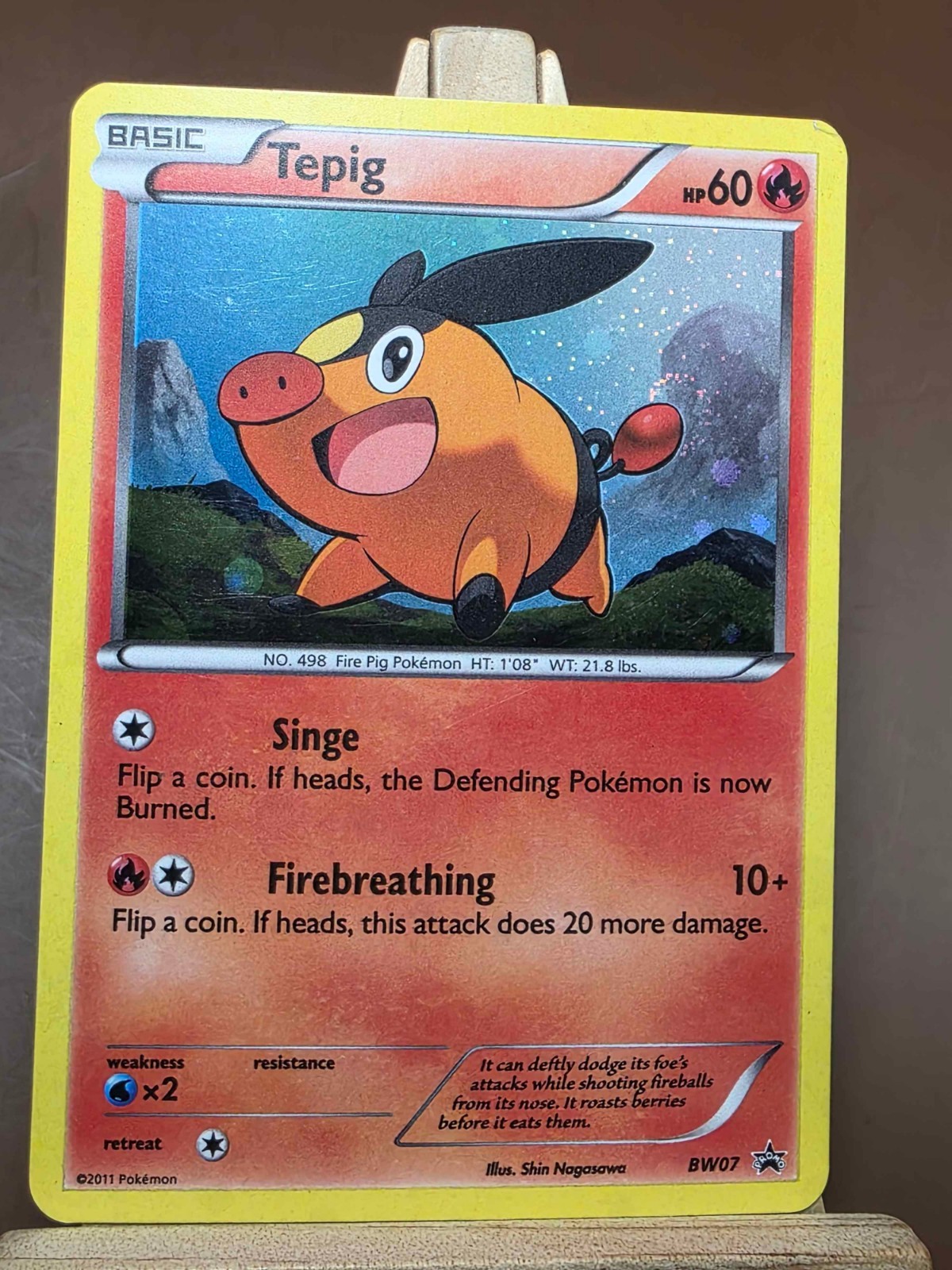 Pokemon MP Tepig BW07 Black & White Holo Promo