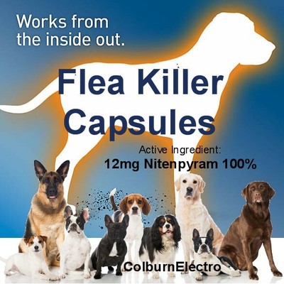 flea killer for small dogs