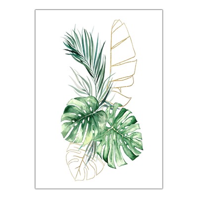 Canvas Canvas Canvas Picture Poster - Modern Plants & Flowers Illustration A0031-D005