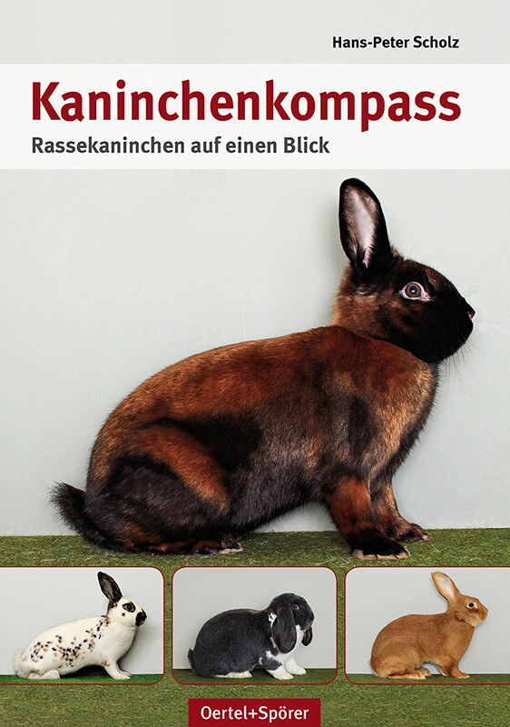 Thumbnail - Kaninchen-kompass Hans-peter Scholz