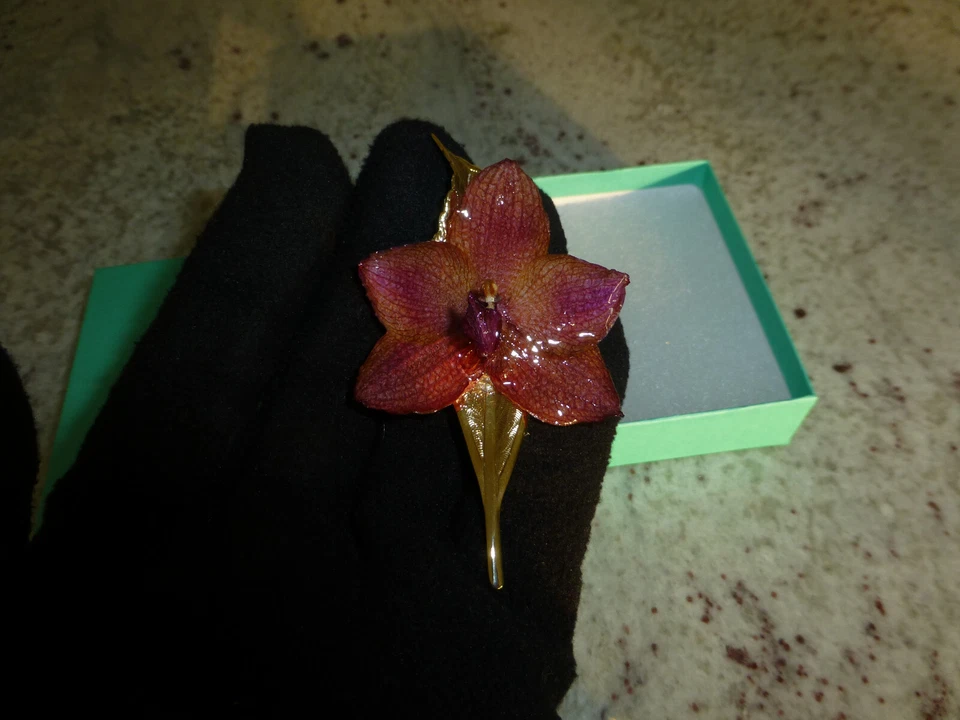 Phalaenopsis Real Phal Orchid Preserved Flower 14K Gold Plated Hair Clip - Image 4 of 4