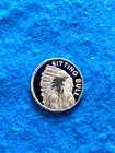 1 Gram Silver Round " Sitting Bull " Design