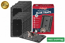 Sticky Mouse Traps Indoor 12 Pack Non-Toxic Glue Boards