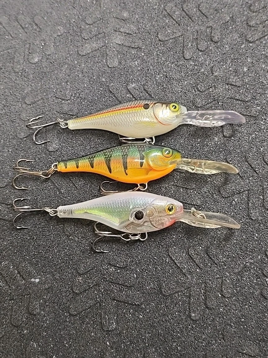 Rapala Rattlin Rap Vibration Naufrage Leurre RNR05/BSD (6279