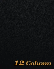 Account Book 12 Column Ledger: - VERY GOOD