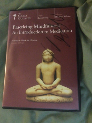 Practicing Mindfulness : An Introduction to Meditation DVD (4 Disc Set)