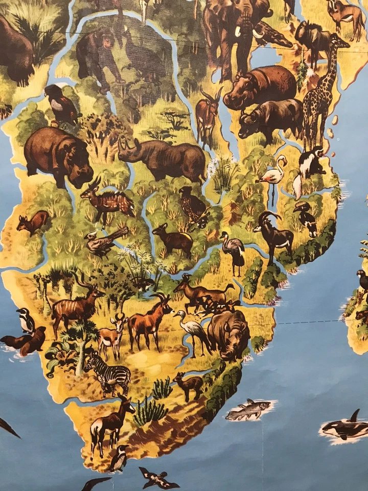 Mapa escolar desplegable ilustrado de vida silvestre africana grande vintage RARO Westermann Foto 3 de 4