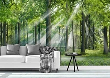 3D Forest Sunlight Wallpaper Wall Mural Removable Self-adhesive Sticker 832