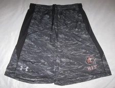 ROCHESTER INSTITUTE of Technology Tigers Shorts Men's Large New York RIT NCAA