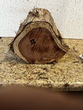 Live Edge Eastern Red Cedar Bowl Turning Blank Dry Ready to Use