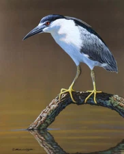 The Fisherman - Richard Clifton Fine Art Print Nature Bird Wildlife Poster 18x22