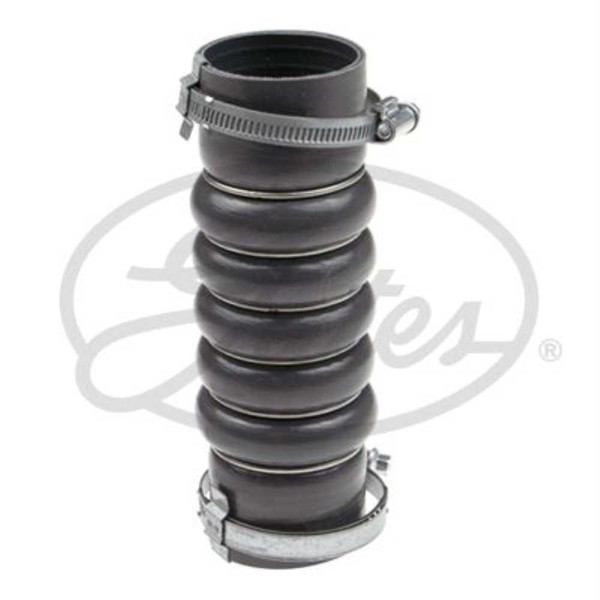 Gates Ladeluftschlauch Passend FüR Ford Fiesta VI B-Max JK 1.6 Tdci 1.5-image