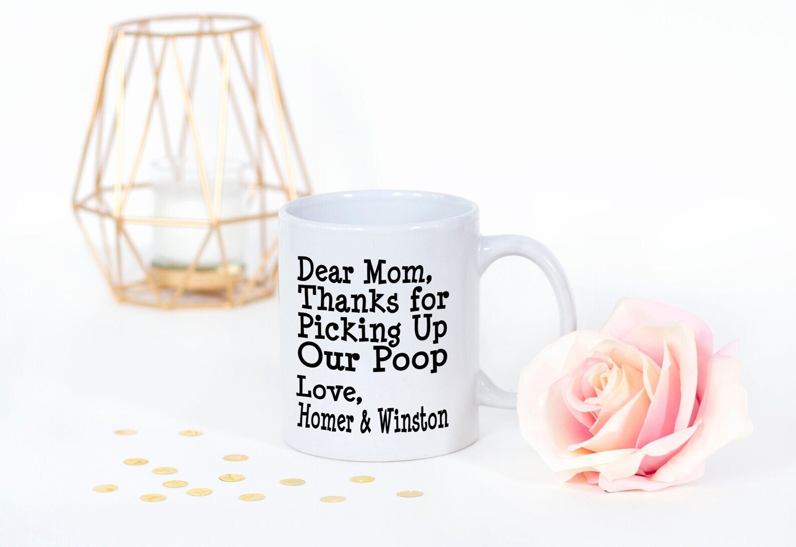 Dear Dog Mom Mother's Day Funny Personalized Gift Coffee Mug Thanks For Picking