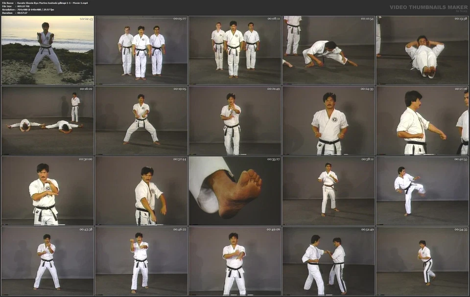 Home Study Course - Shorin Ryu Karate (DVDs + Certificates) - Image 3 of 4