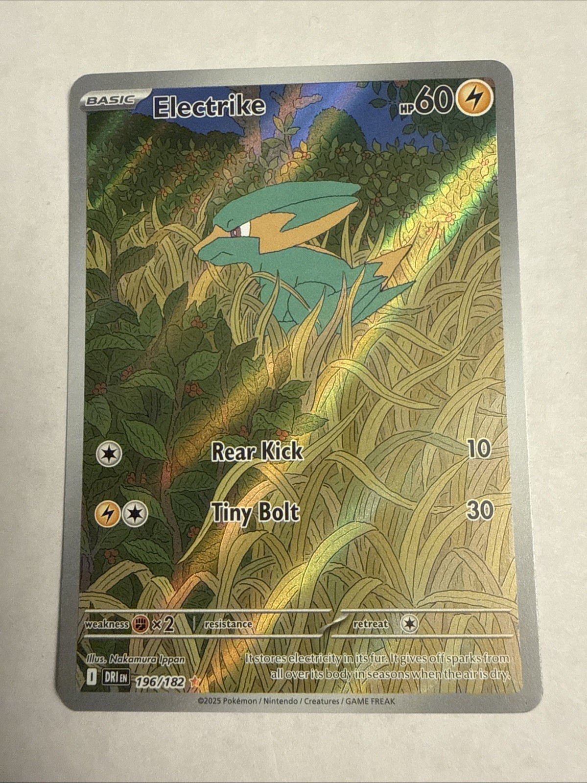 Pokemon - Electrike 196/182 2025 - SV Destined Rivals - Illustration Rare