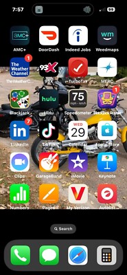 iPhone 14 Pro With TIk Tok Installed And Unlocked