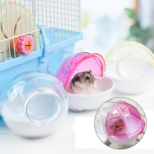 hamster box subscription