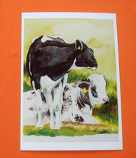 1x  Postkarten  Kühe schwarz weiß  Frank Koebsch A6 Tiere  Kuh Weide