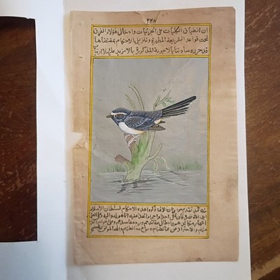 19th century Persian manuscript page with miniature bird painting