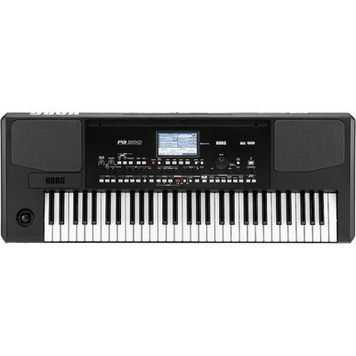 KORG コルグ Pa300 61鍵 キーボード パーソナルアレンジャー Korg PA300 Key Professional Arranger for sale online | eBay