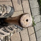 Bild 11 von 12