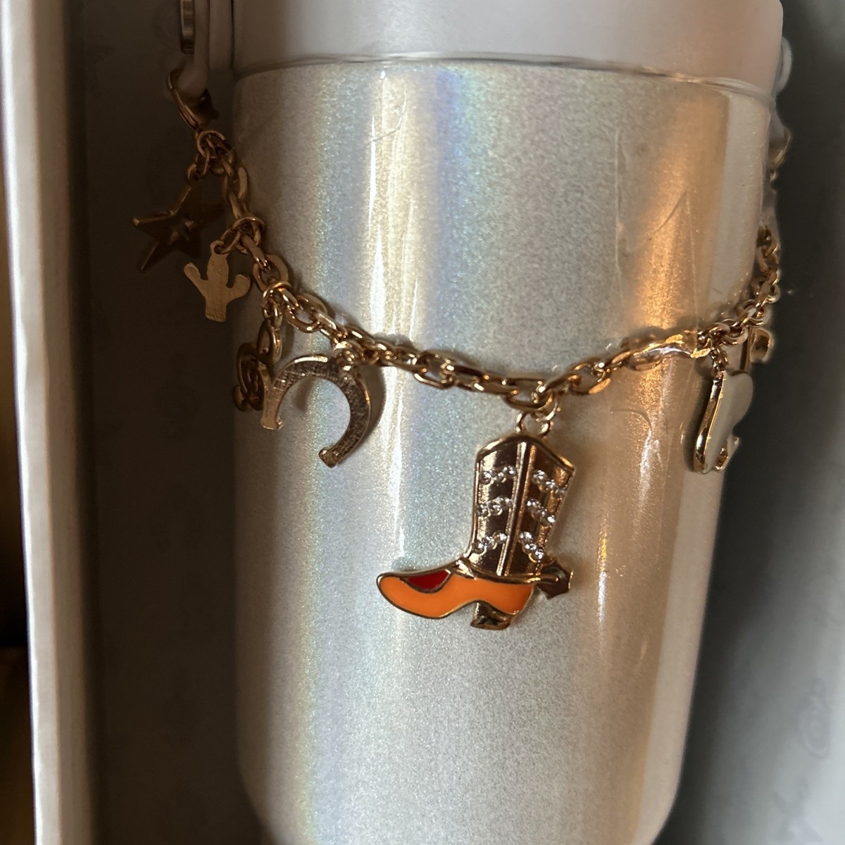 Hydrapeak Nomad 32 Oz Western Cowgirl Charmed Tumbler Limited