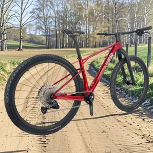 Carbon Complete Bike 29er Boost Hardtail Mountain Bike 1x12 Shimano Groupset MTB