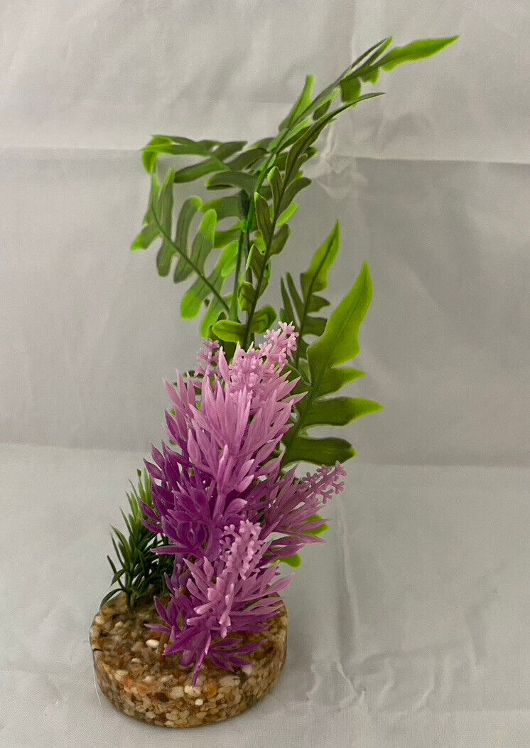Picture 4 of 10