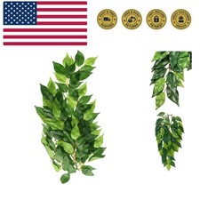 Silk Terrarium Plant, Medium, Ficus